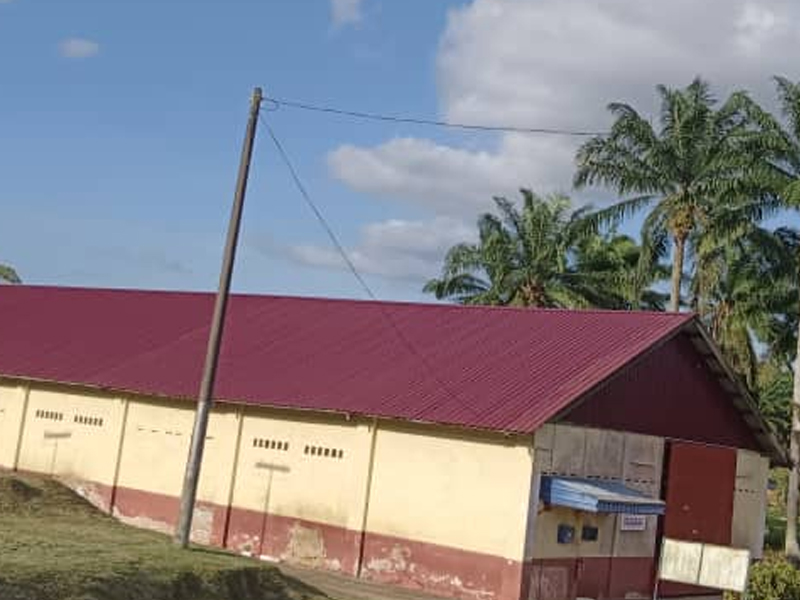 Roofing Project